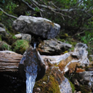 normal_040911tappenkarsfaktivnews024.JPG