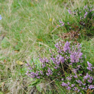 normal_040911tappenkarsfaktivnews057.JPG