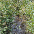 normal_040911tappenkarsfaktivnews059.JPG