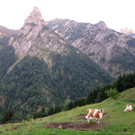 KOE_47er auf Gaudenza 41_jpg-1315148245