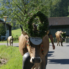 DSC01020_JPG-1315156723