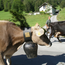 DSC01022_JPG-1315156758