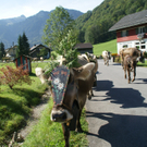 DSC01023_JPG-1315156808