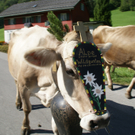 DSC01024_JPG-1315156835