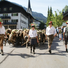 DSC01051_JPG-1315157727