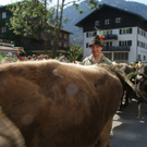 DSC01053_JPG-1315157779