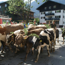 DSC01055_JPG-1315157839