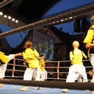 DSC01825_JPG-1315160269
