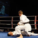 DSC01847_JPG-1315161142
