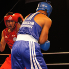 DSC01900_JPG-1315163585
