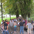 Bodensee  Begehung 002 _Large__jpg-1315173653