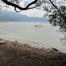 Bodensee  Begehung 025 _Large__jpg-1315173699