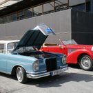DSC01118_JPG-1315195743
