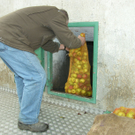 SH105035_JPG-1315208706