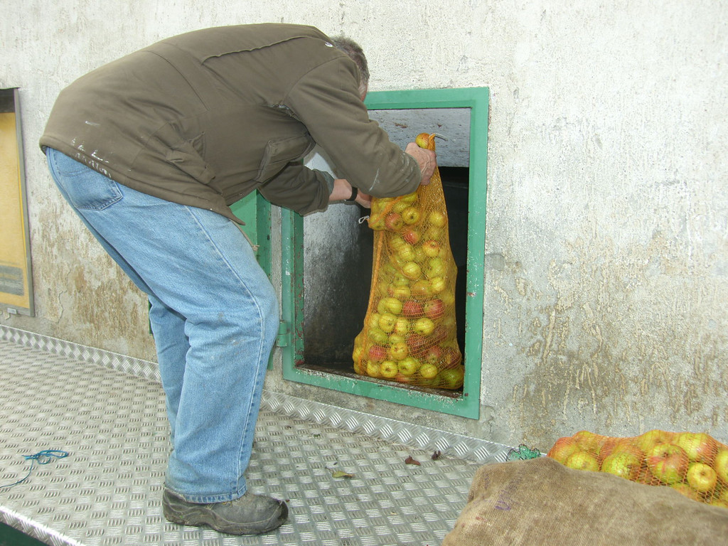 SH105035_JPG-1315208706