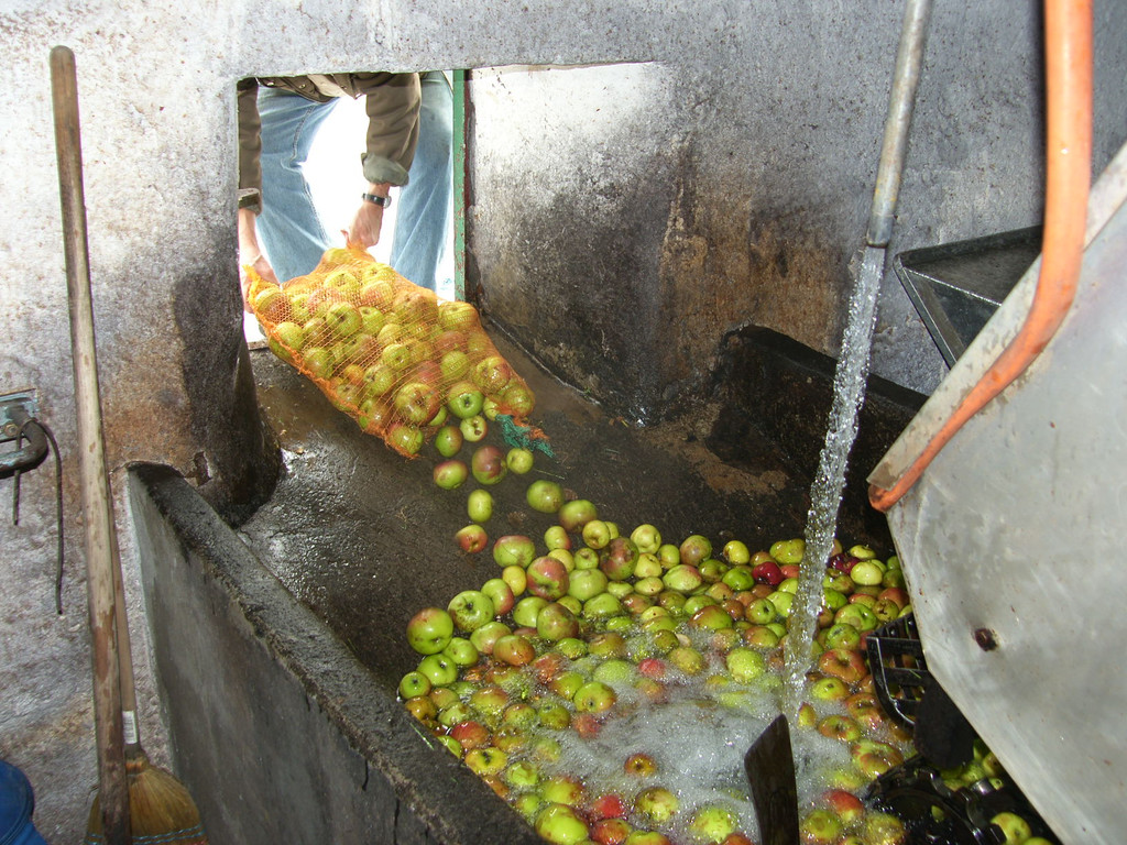 SH105038_JPG-1315208719