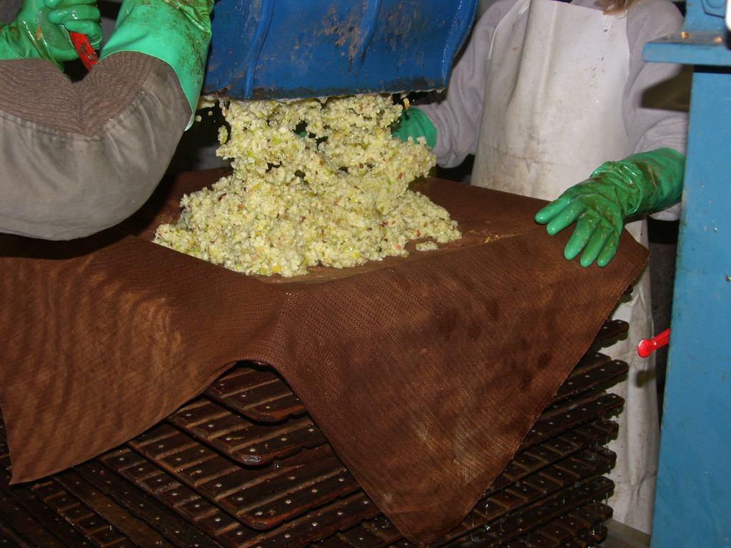 SH105061_JPG-1315208762