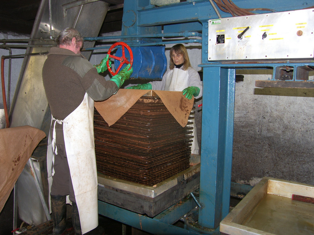 SH105011_JPG-1315208632