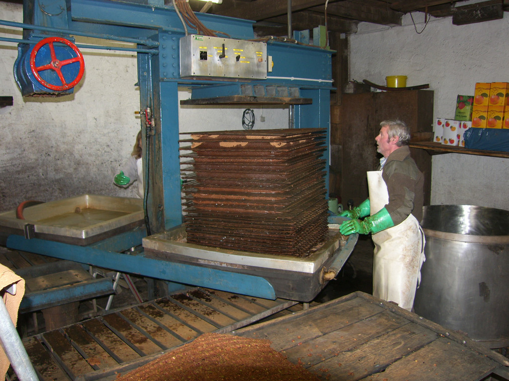 SH105016_JPG-1315208649