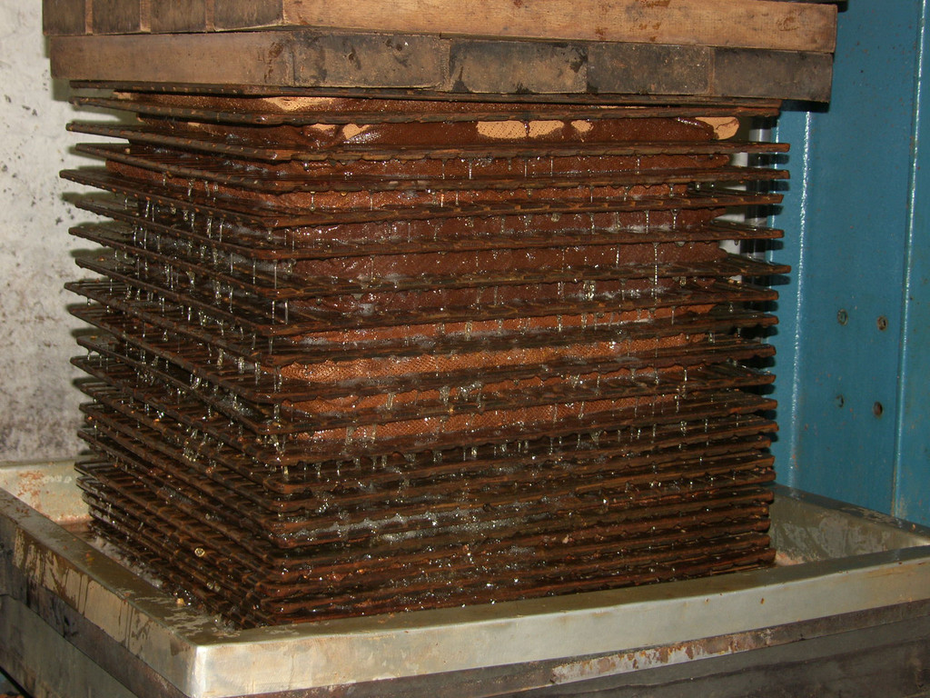 SH105022_JPG-1315208663