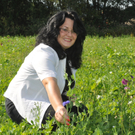 Blumenwiese10.JPG