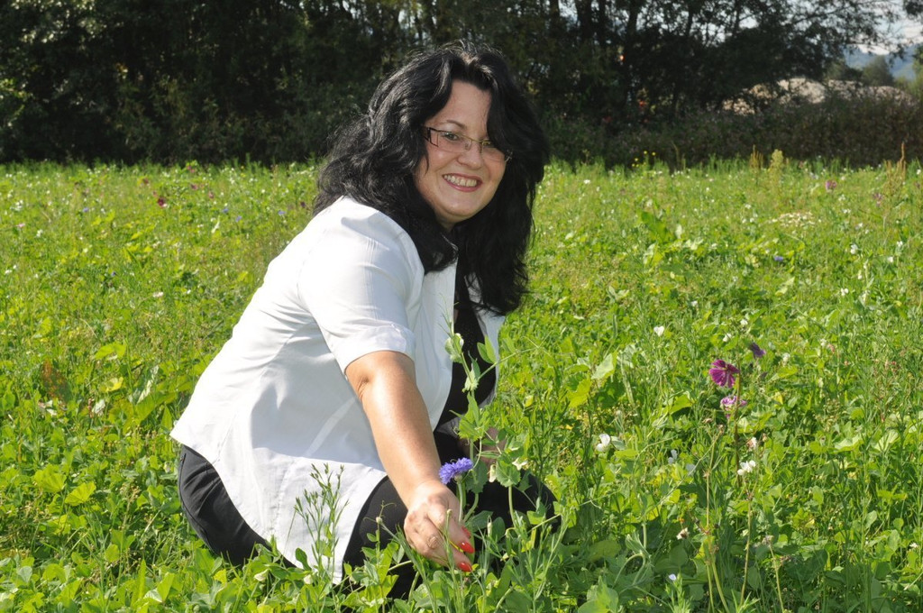 Blumenwiese10.JPG