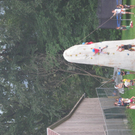 IMG_4556.JPG