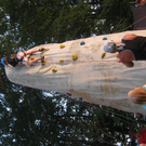 IMG_4724.JPG