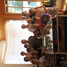 IMG_6998.JPG