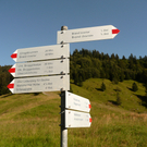 P1090141.JPG