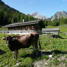 P1090147.JPG