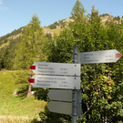 P1090161.JPG