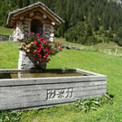 P1090204.JPG