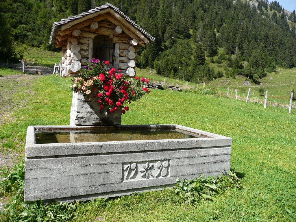 P1090204.JPG