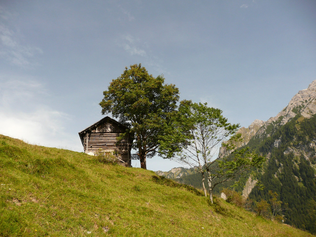 P1090222.JPG
