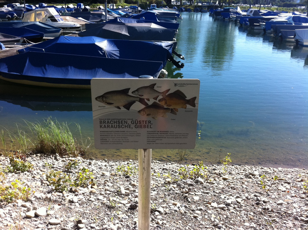 Foto1_JPG-1315249936