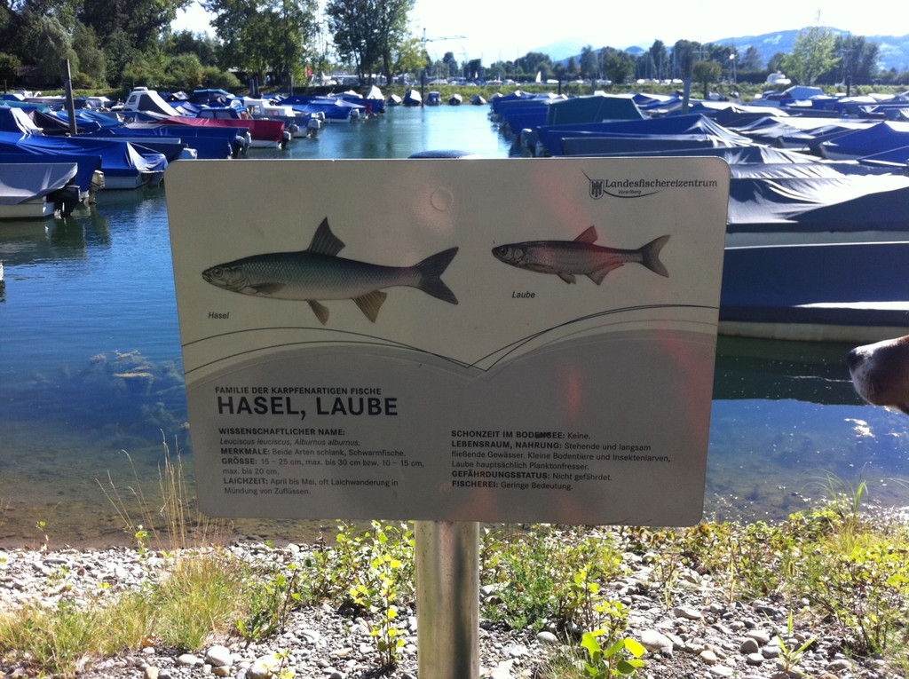 Foto3_JPG-1315249969