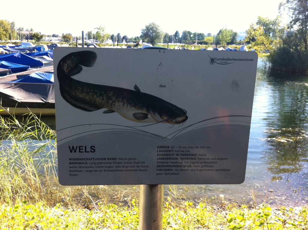 Foto7_JPG-1315250046