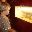 Stoffel5b_jpg-1315250720