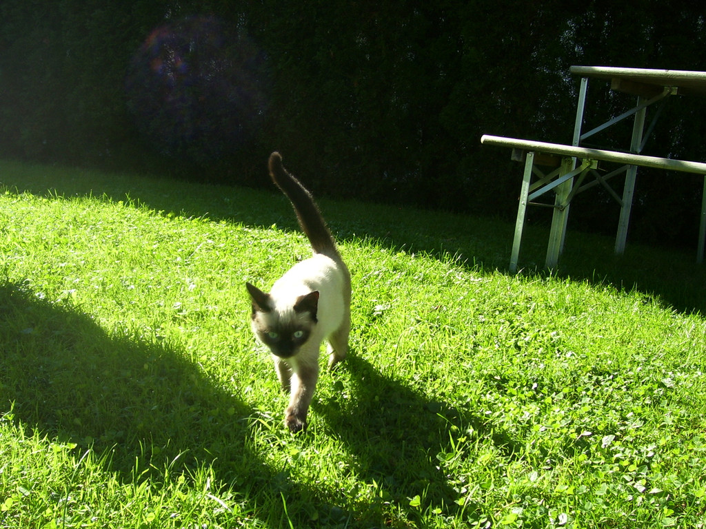 September 03 008.JPG