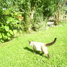 September 03 010.JPG