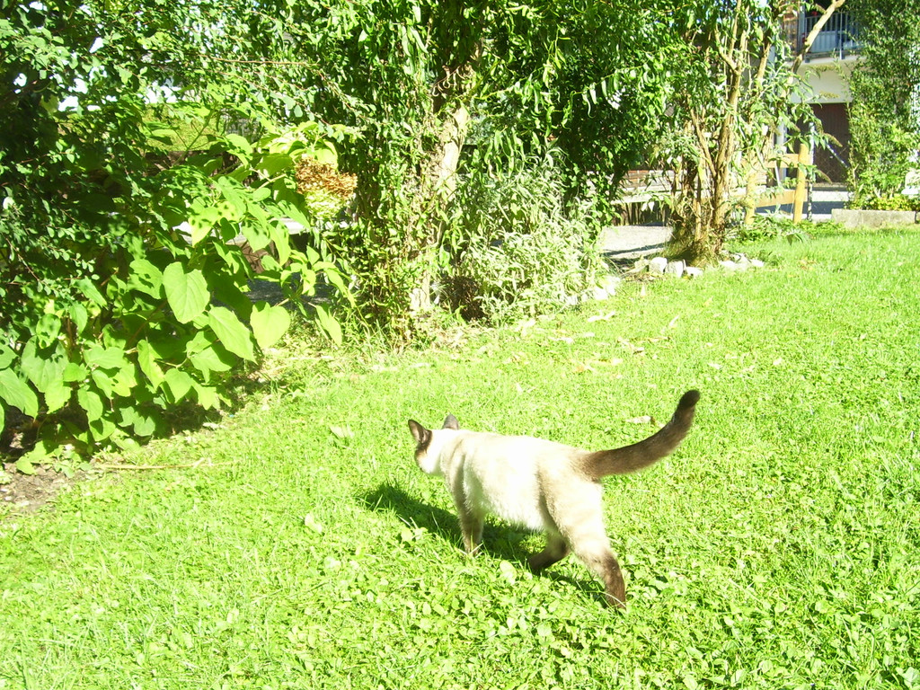 September 03 010.JPG