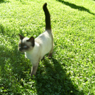 September 03 009.JPG