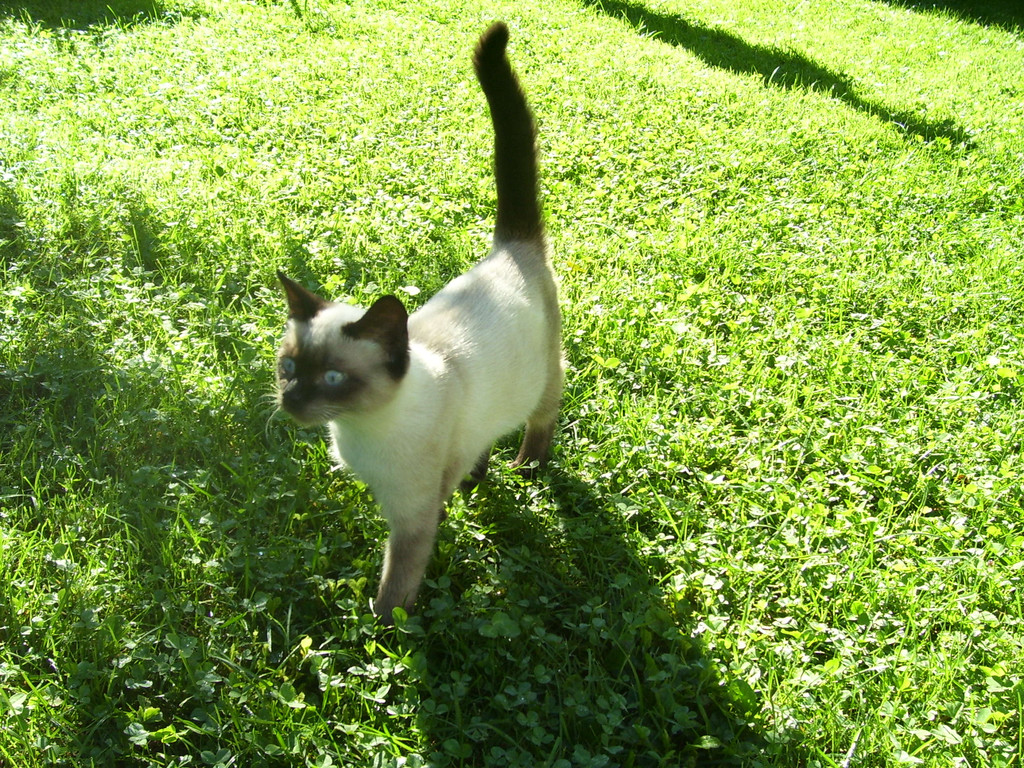 September 03 009.JPG
