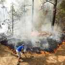 Hunderte Häuser durch Buschbrände in Texas beschädigt oder zerstört