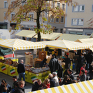 DSC_7526_jpg-1315305311