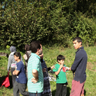 BusunfallA106091109.jpg