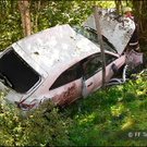 Bilder vom Einsatz der Feuerwehr