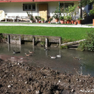 dorfbach8_jpg-1315372369