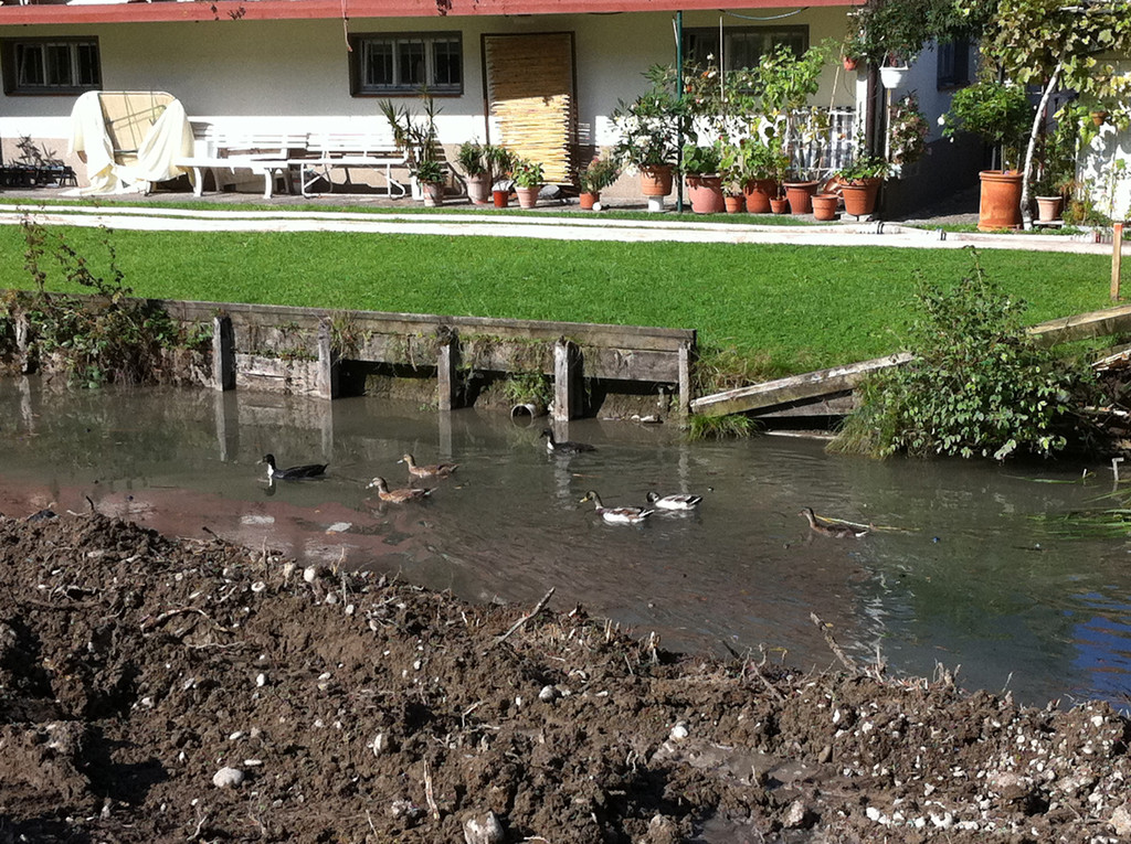 dorfbach8_jpg-1315372369